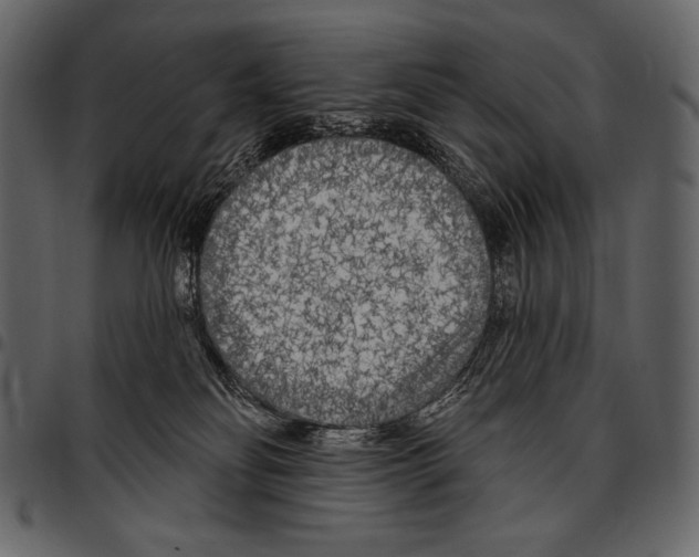 X0000097470134200803201456