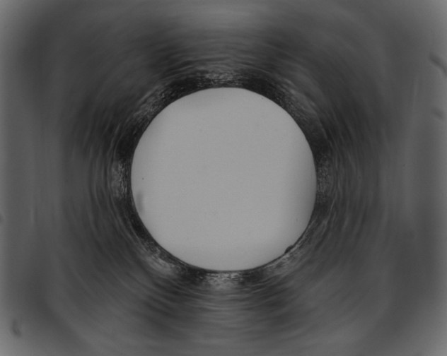 X0000097470136200803201456