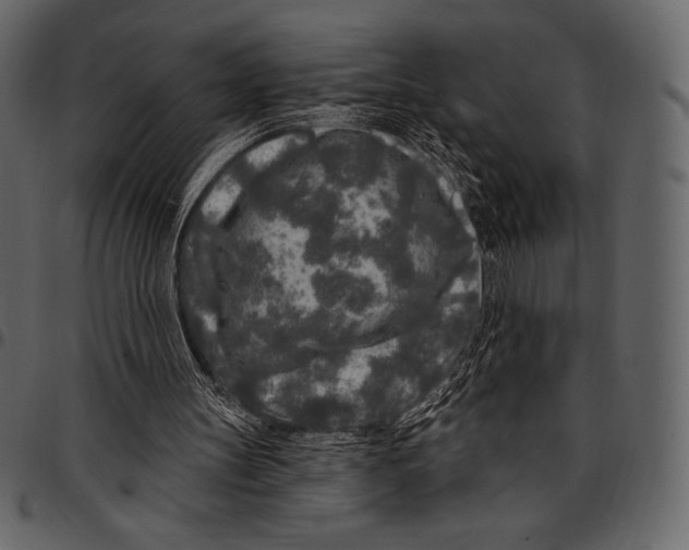 X0000097470147200803201455