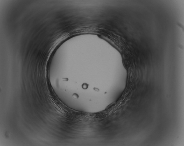 X0000097470148200803201455