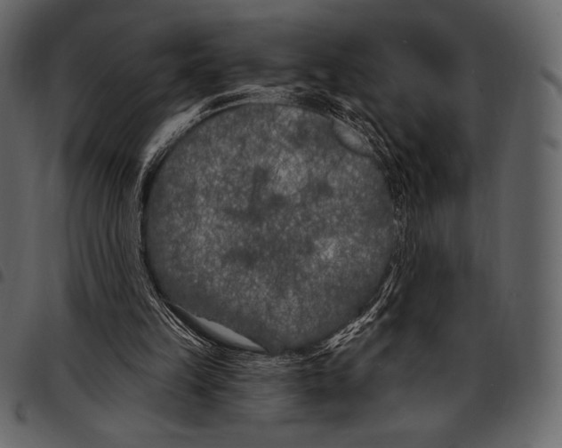 X0000097470149200803201455