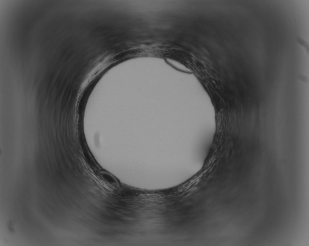 X0000097470150200803201455