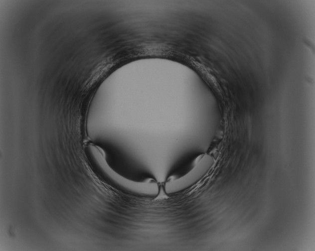 X0000097470154200803201455