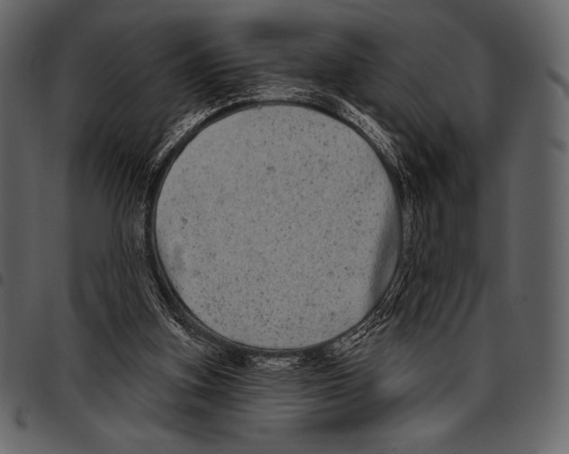 X0000097470155200803201455