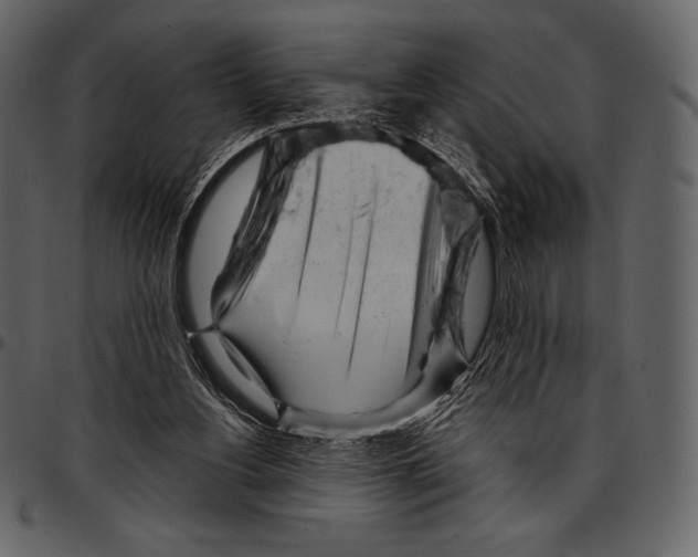 X0000097470156200803201455