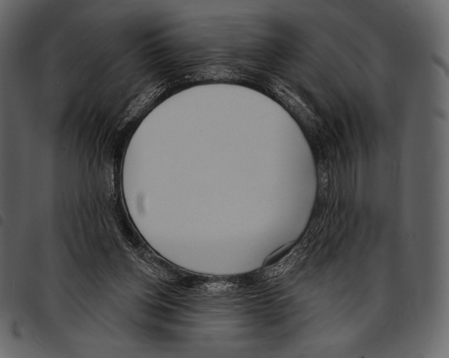 X0000097470158200803201455