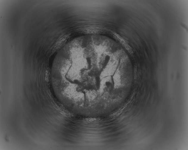 X0000097470161200803201455