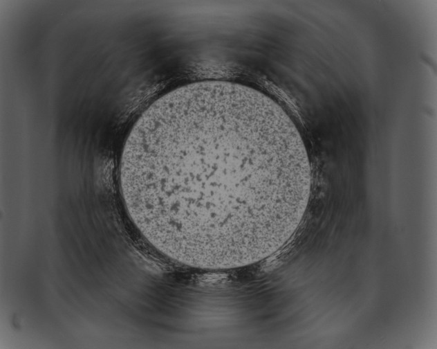 X0000097470162200803201455