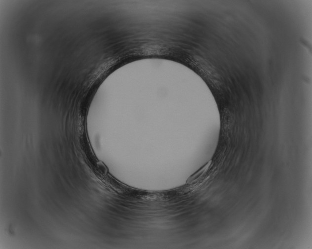 X0000097470164200803201455