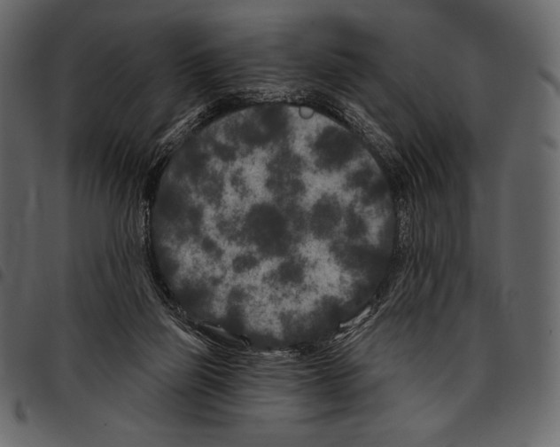 X0000097470165200803201455