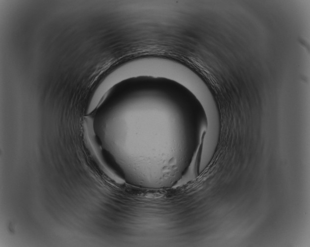 X0000097470168200803201455