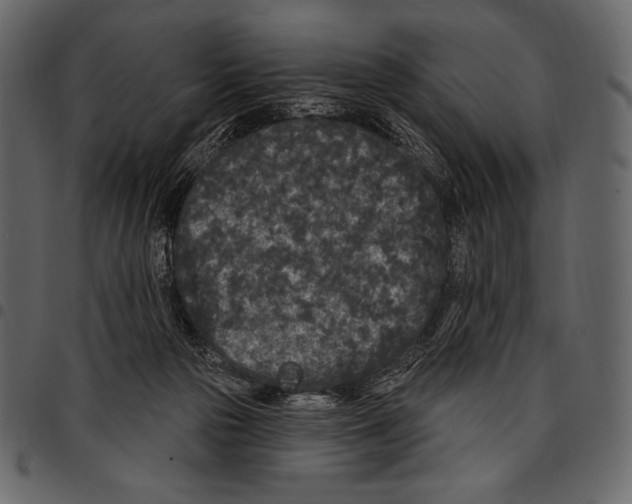 X0000097470169200803201455