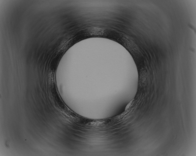 X0000097470172200803201455