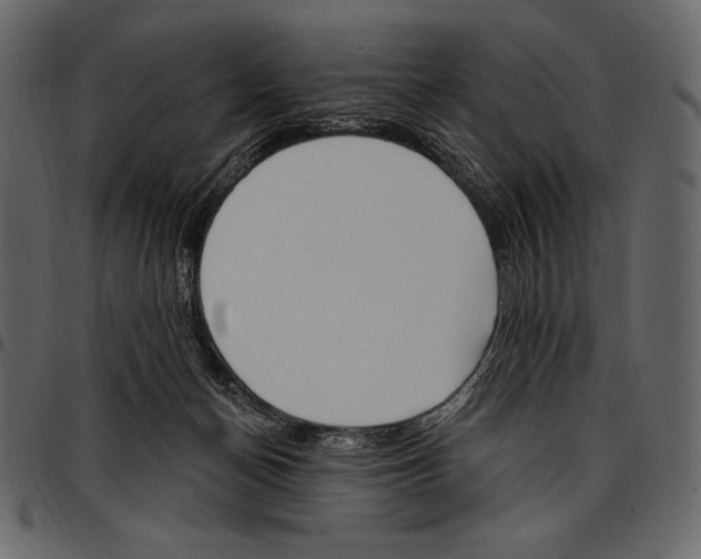 X0000097470174200803201455