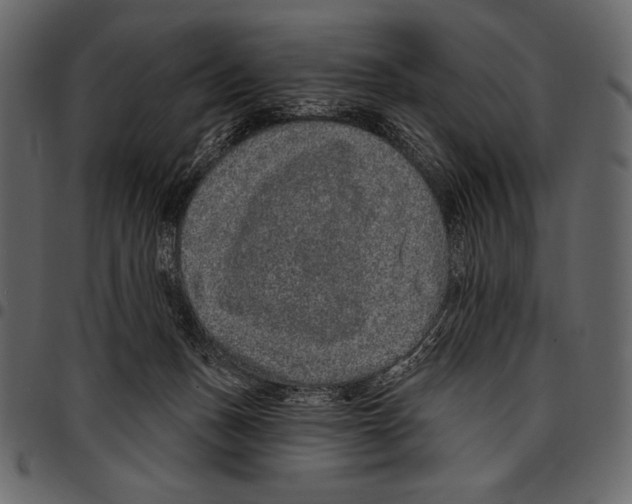 X0000097470175200803201455