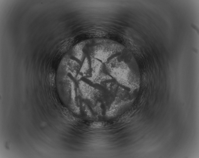 X0000097470177200803201456