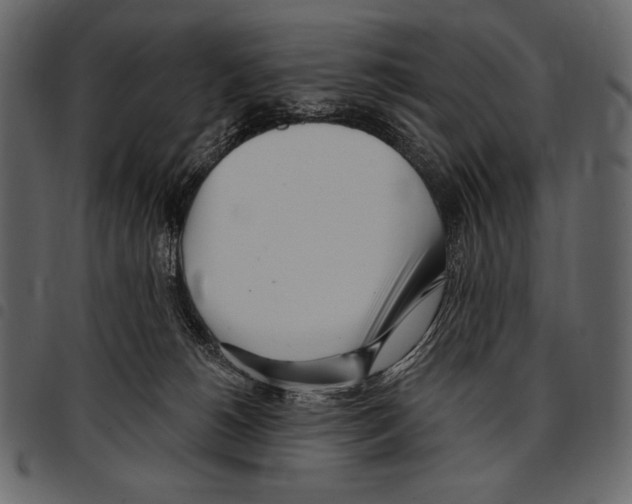 X0000097470180200803201456