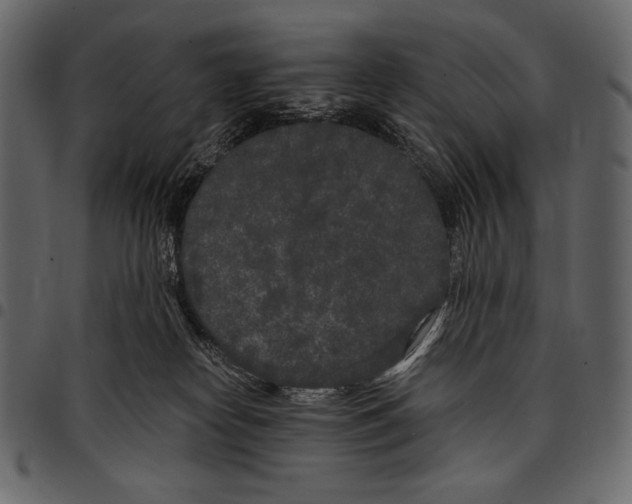 X0000097470182200803201456