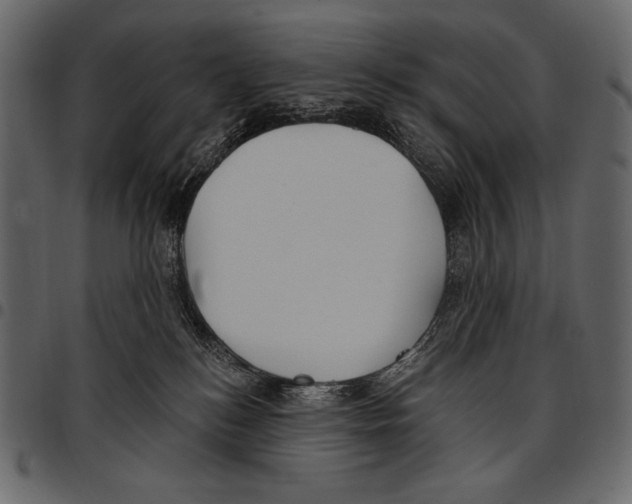 X0000097470184200803201456