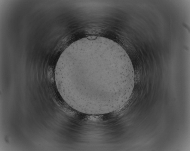 X0000097470187200803201456