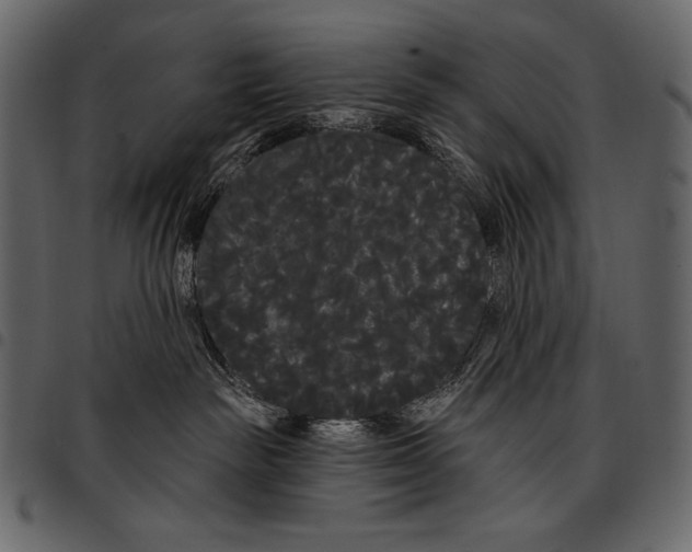 X0000097470189200803201456