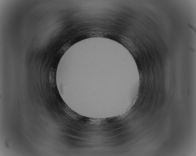 X0000097470190200803201456