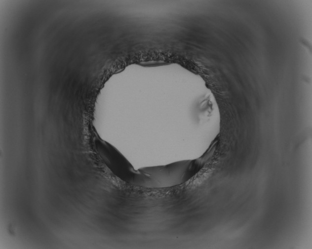 X0000097470192200803201456