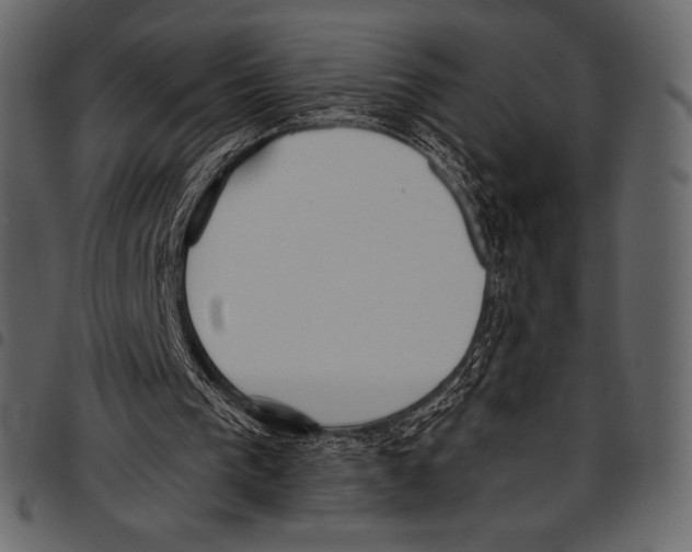 X0000097470193200803201455