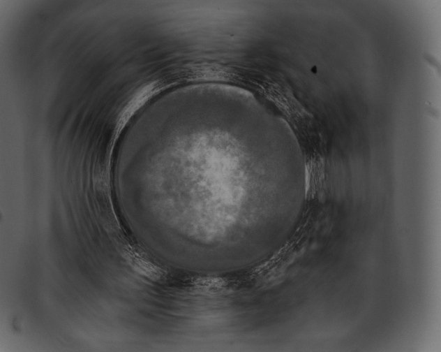 X0000097470195200803201455