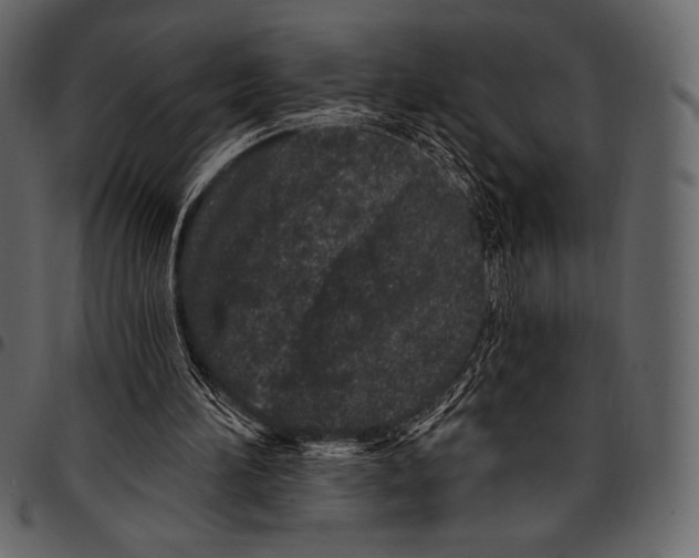 X0000097470196200803201455