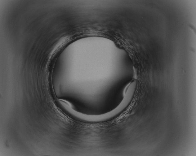 X0000097470197200803201455