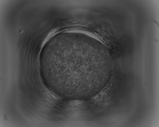 X0000097470198200803201455