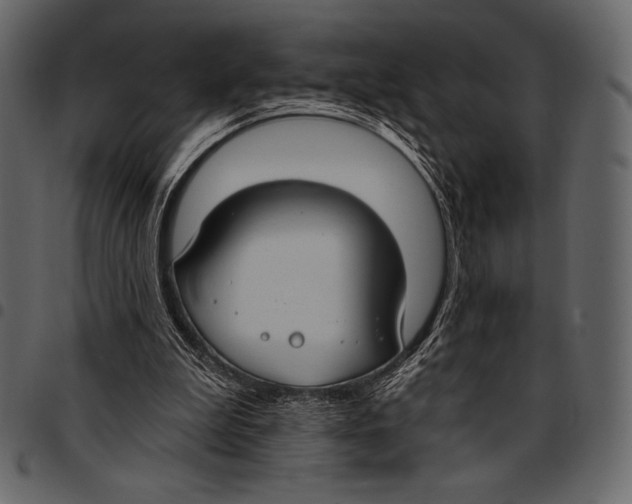 X0000097470199200803201455