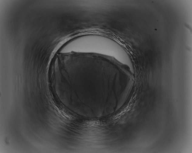 X0000097470200200803201455