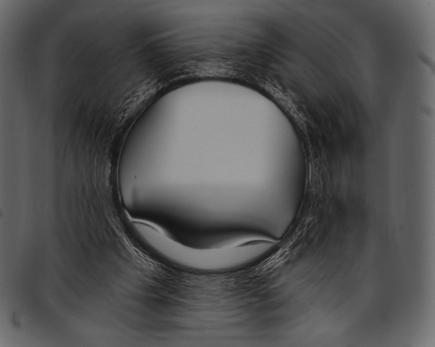 X0000097470201200803201455