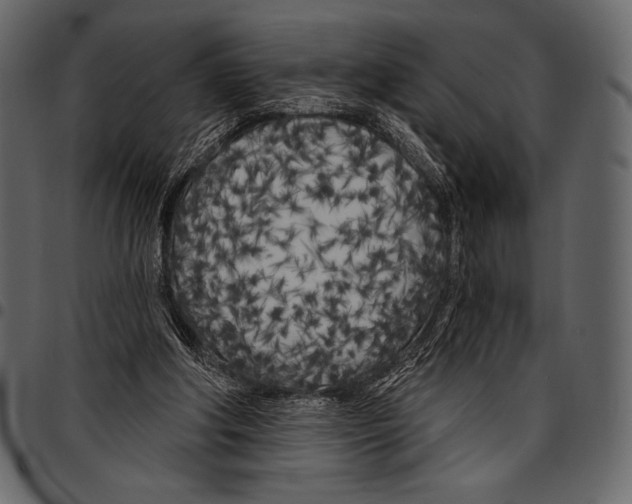 X0000097470202200803201455