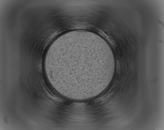 X0000097470203200803201455