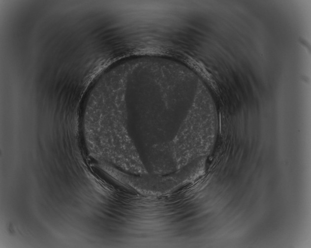 X0000097470204200803201455