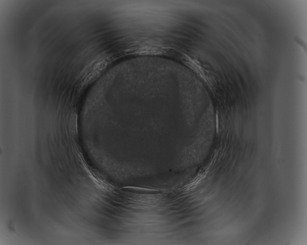 X0000097470205200803201455