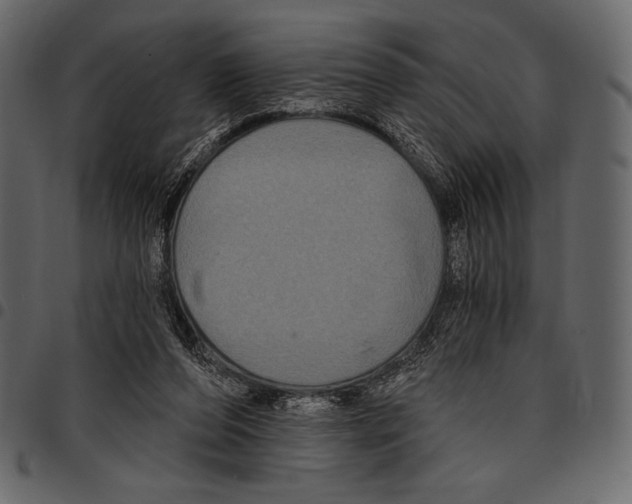 X0000097470208200803201455