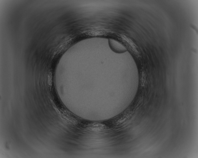 X0000097470210200803201455