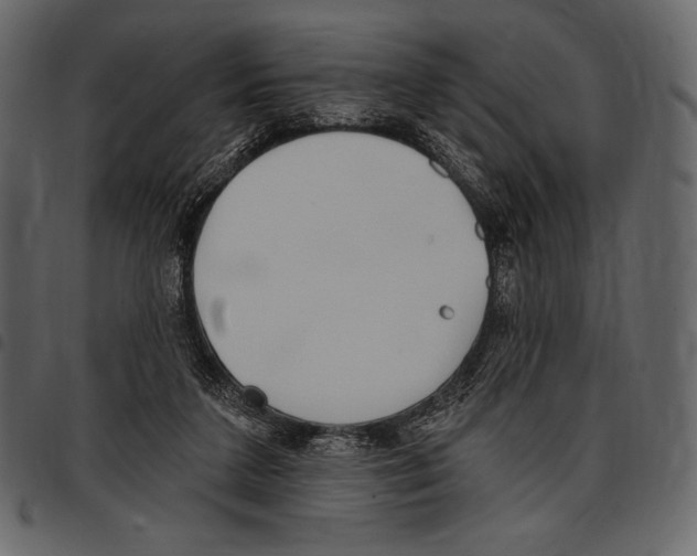 X0000097470211200803201455