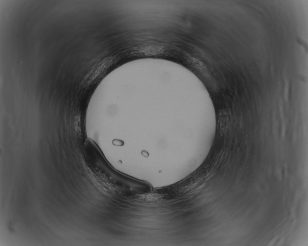 X0000097470212200803201455