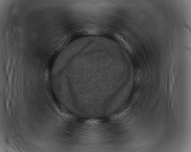 X0000097470213200803201455