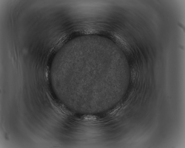 X0000097470214200803201455