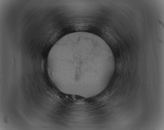 X0000097470219200803201455