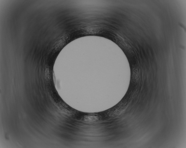 X0000097470220200803201455