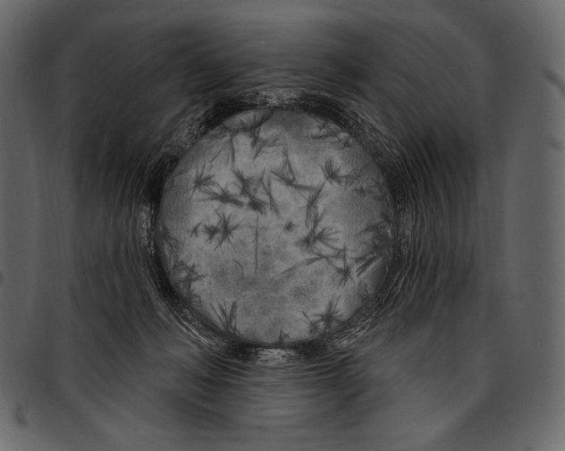 X0000097470222200803201454