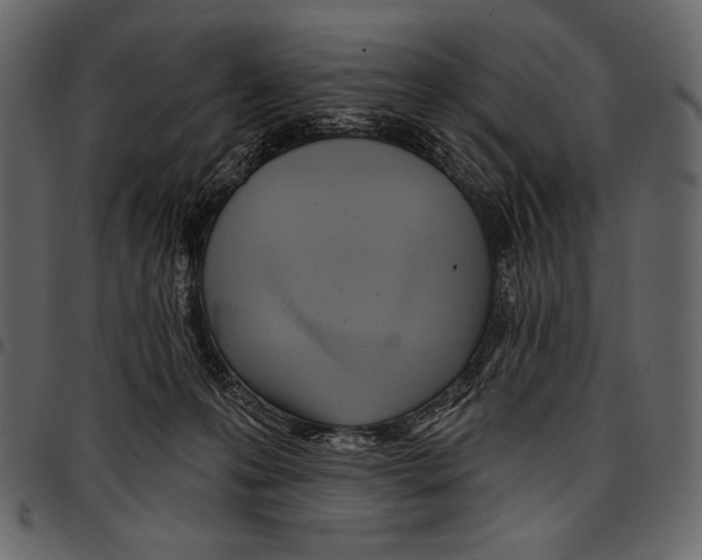 X0000097470223200803201454