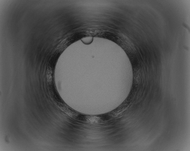 X0000097470226200803201454